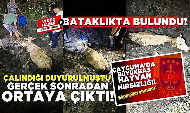 Çalındığı duyurulmuştu: Gerçek sonradan ortaya çıktı!