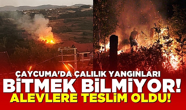 Çaycuma'da çalılık yangınları bitmek bilmiyor!