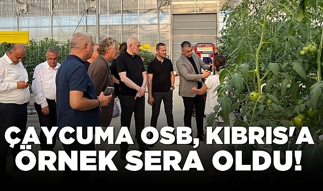 Çaycuma OSB, Kıbrıs'a örnek sera oldu!