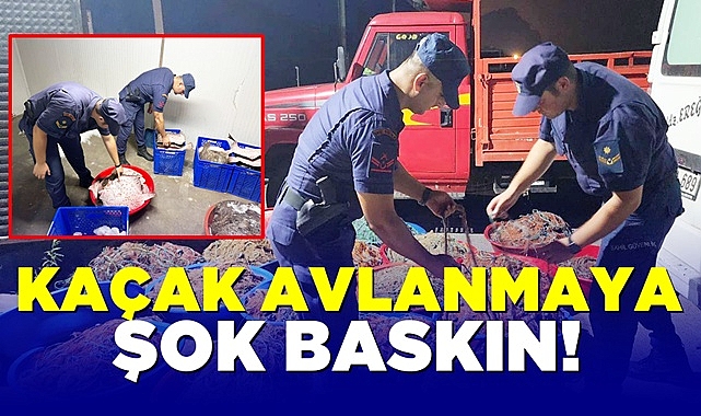 Kaçak avlanmaya şok baskın! 114 kalkan balığına el konuldu!