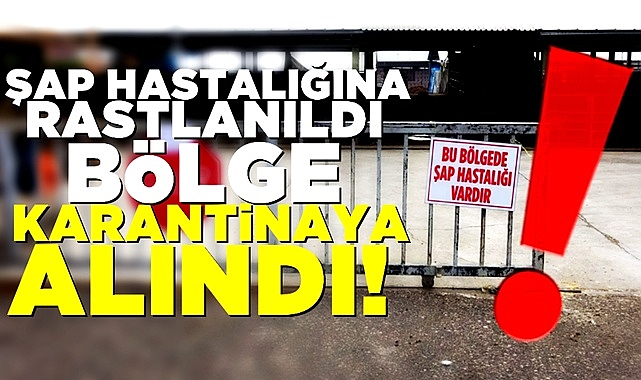 Şap hastalığına rastlanıldı, bölge karantinaya alındı!