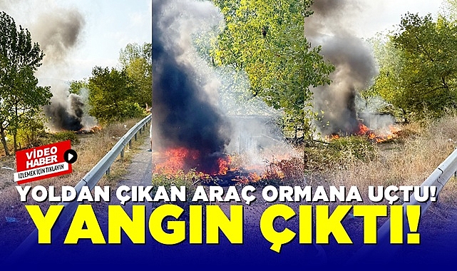 Yoldan çıkan araç ormana uçtu! Yangın çıktı!