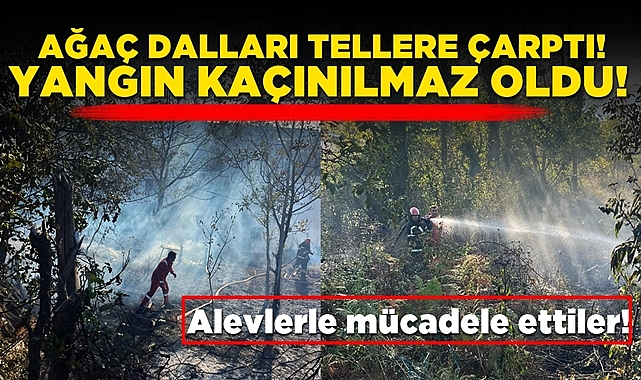 Ağaç dalları tellere çarptı, yangın kaçınılmaz oldu!
