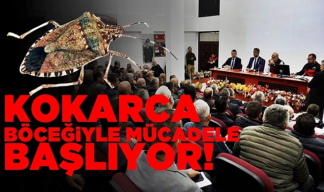 Çaycuma'da Kokarca Böceğiyle mücadele başlıyor!