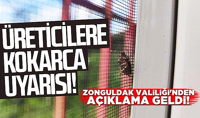 Kokarca böceği ile mücadele için Zonguldak Valiliği'nden açıklama!