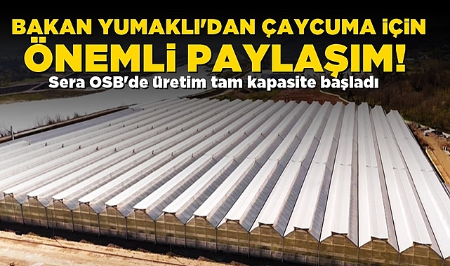 Bakan Yumaklı'dan Çaycuma için önemli paylaşım! Sera OSB'de üretim tam kapasite başladı