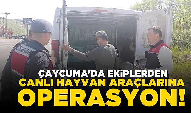 Çaycuma'da ekiplerden canlı hayvan araçlarına operasyon!