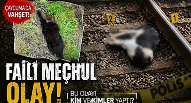 Buna 