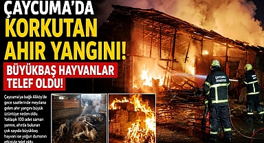 Çaycuma'da korkutan ahır yangını! Büyükbaş hayvanlar telef oldu! 