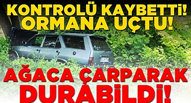 Kontrolü kaybeden otomobil ormana uçtu! Ağaca çarparak durabildi!