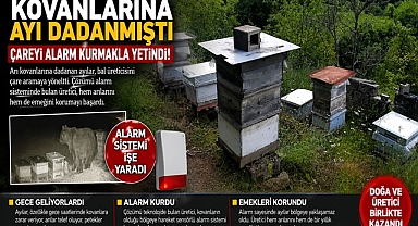 Kovanlarına ayı dadanmıştı, çareyi alarm kurmakla yetindi!