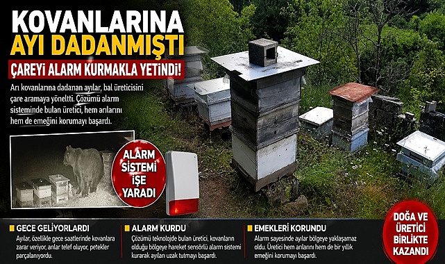 Kovanlarına ayı dadanmıştı, çareyi alarm kurmakla yetindi!