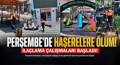 Perşembe'de haşerelere ölüm! İlaçlama çalışmaları başladı! 