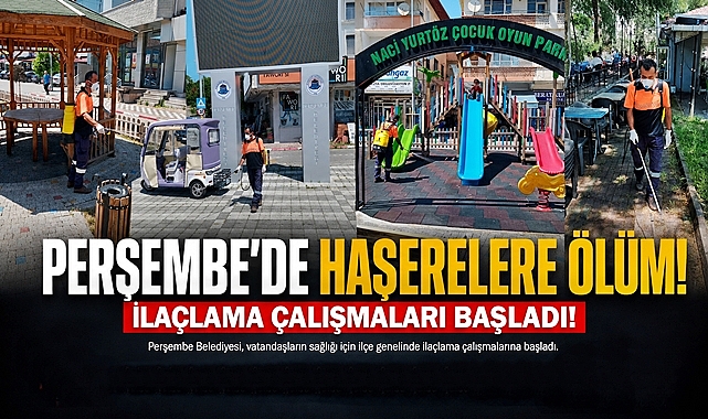 Perşembe'de haşerelere ölüm! İlaçlama çalışmaları başladı!