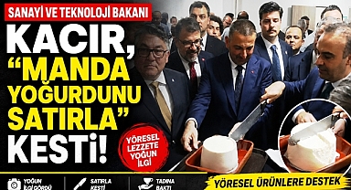 Bakan Kacır, Çaycuma'nın meşhur manda yoğurdunu satırla kesti