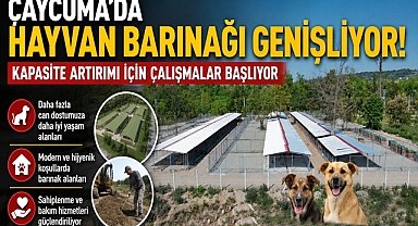 Çaycuma'da hayvan barınağı genişliyor! Kapasite artırımı için çalışmalar başlıyor