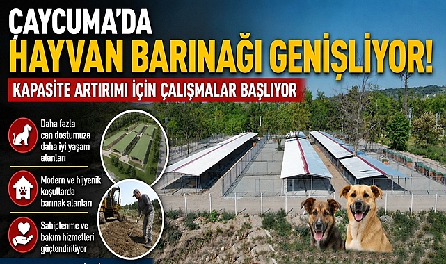 Çaycuma'da hayvan barınağı genişliyor! Kapasite artırımı için çalışmalar başlıyor
