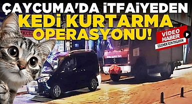 Çaycuma'da itfaiyeden kedi kurtarma operasyonu!