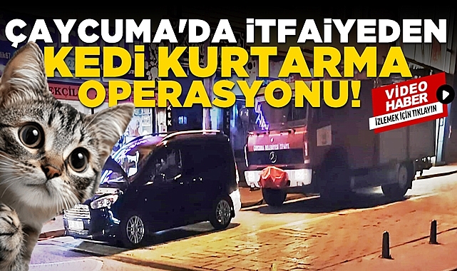 Çaycuma'da itfaiyeden kedi kurtarma operasyonu!