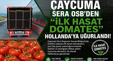 Çaycuma Sera OSB'den ilk hasat domates Hollanda'ya uğurlandı!