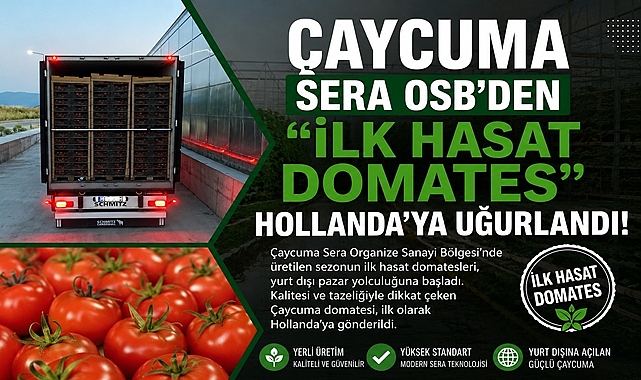 Çaycuma Sera OSB'den ilk hasat domates Hollanda'ya uğurlandı!